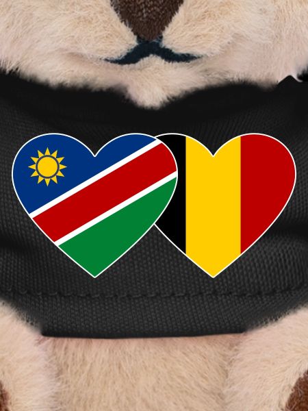 Namibia Belgium Flag Heart