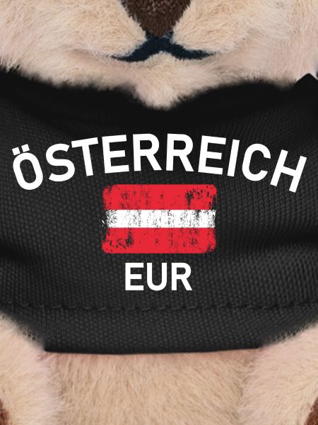 Austria Arc Flag Distressed Logo