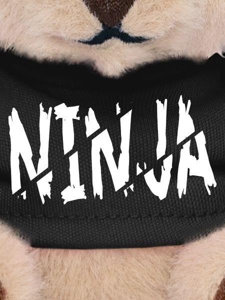 Ninja