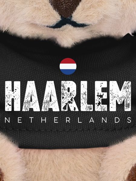Haarlem Distressed Logo