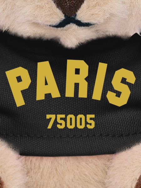 PARIS Arrondissement