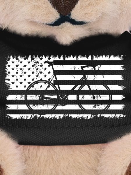 Bicycle American Flag