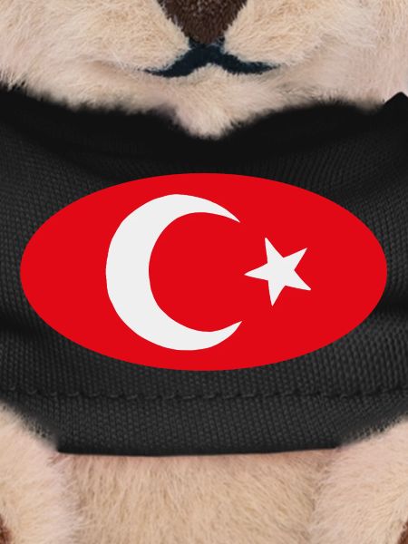 Turkiye Turkish Oval Flag