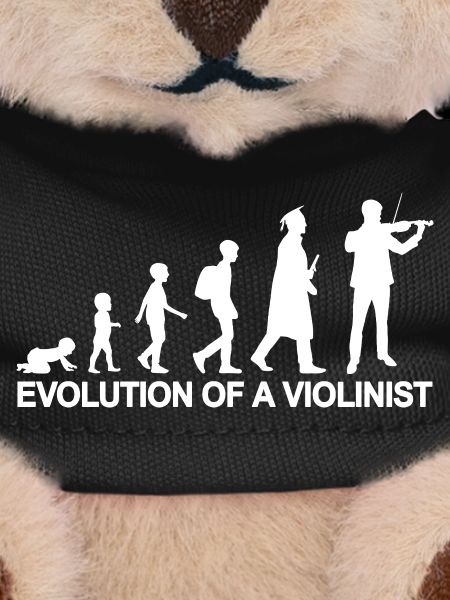 Development of a violinist