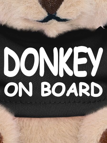 donkey