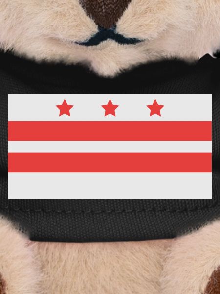 Drapeau de Washington