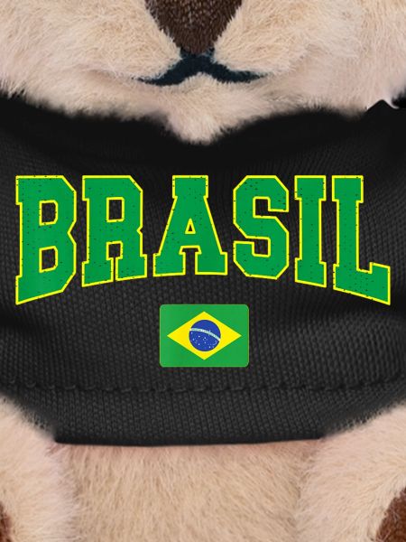 Brasil Block Letters with Flag