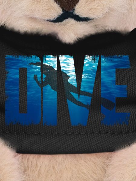 Diver Diving