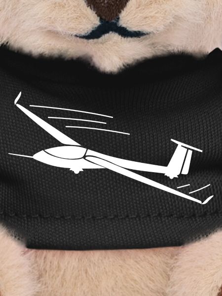 Glider glider pilot gift ideas