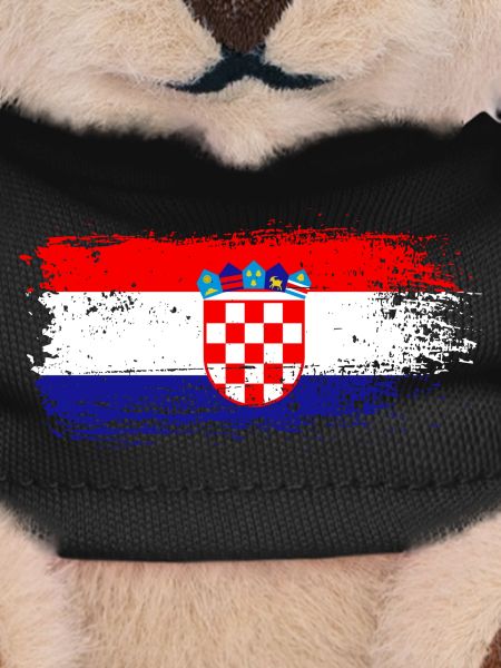 Croatia flag