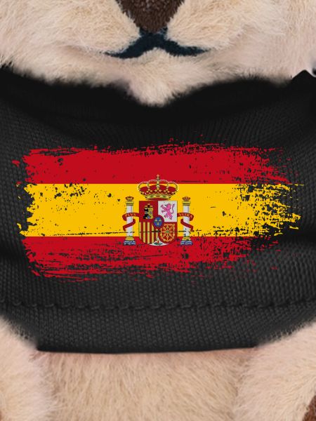 Spanish Flag Crest Splash