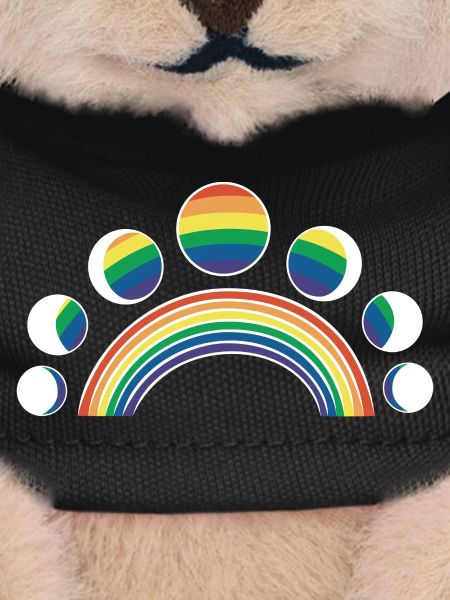 LGBT Moon Phases Moons Rainbows