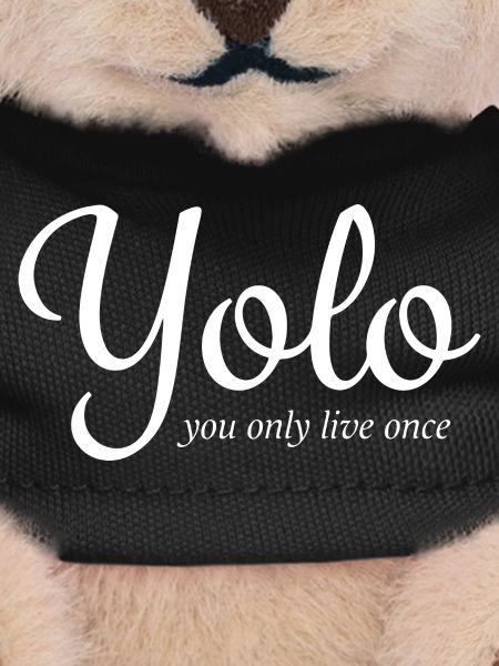 Yolo