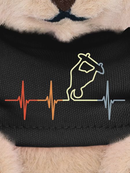 Skateboarder Cardiogram