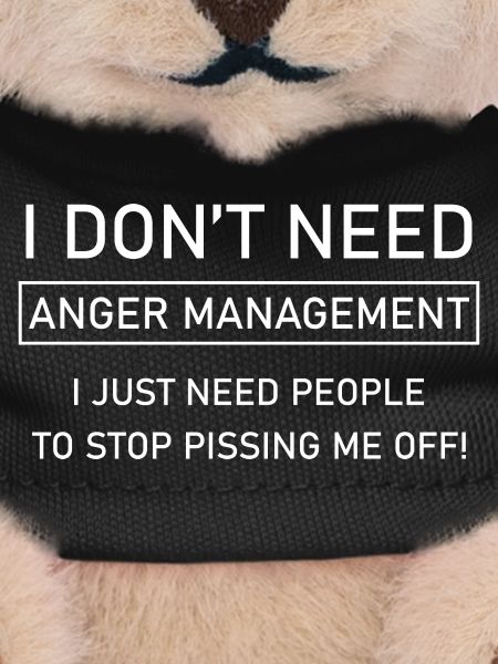 I don't need anger management