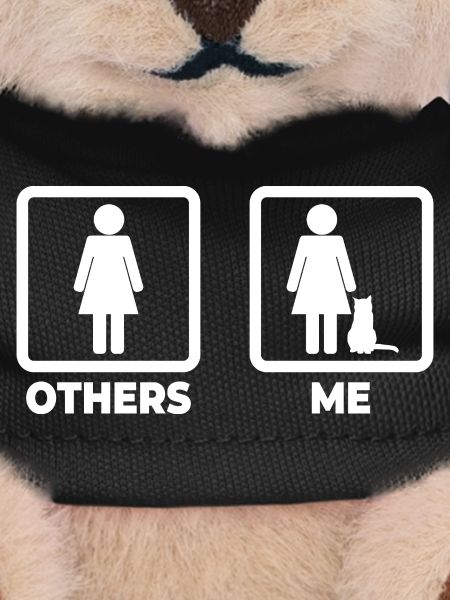 Cat Owner Stick Figures