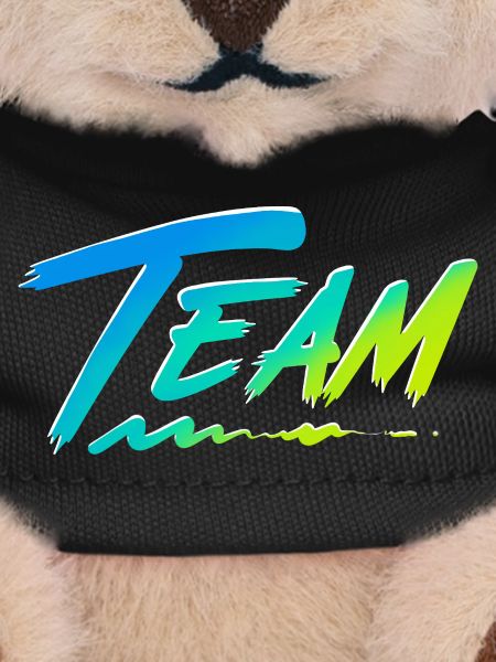 Team