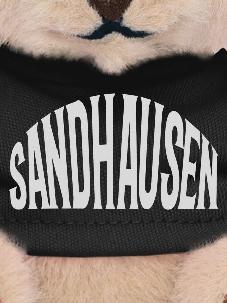 Sandhausen