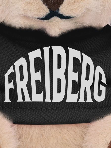 Freiberg