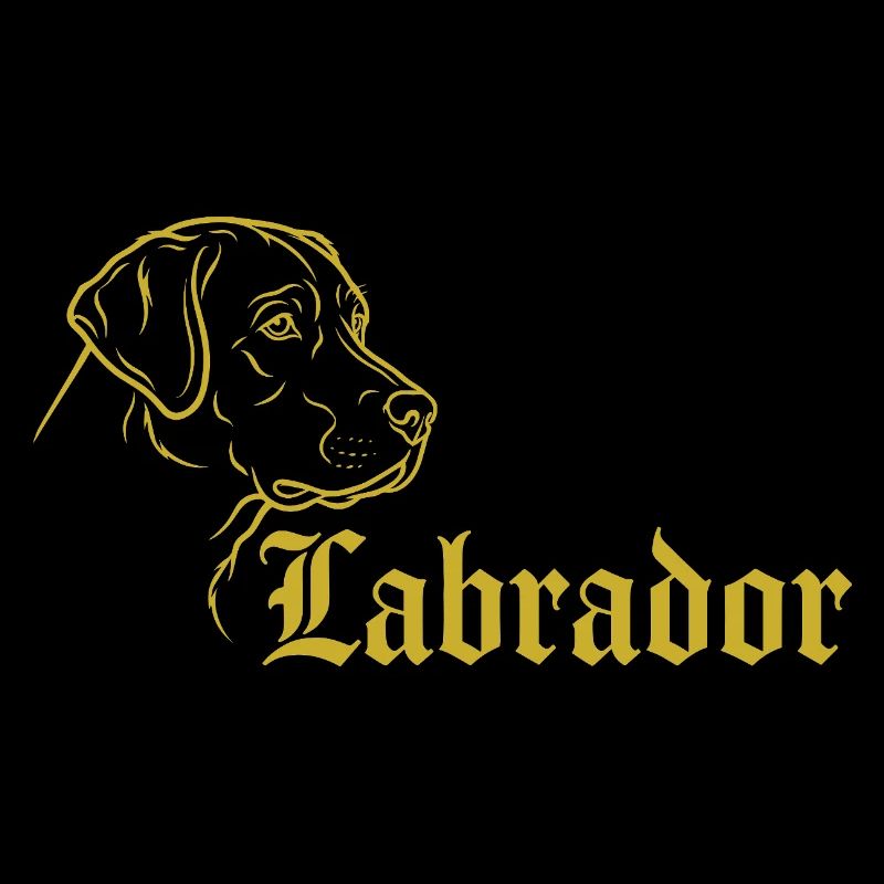 Labrador – Timeless elegance