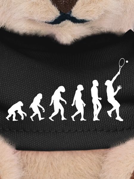 Tennis Evolution