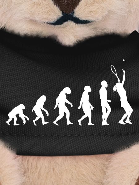 Tennis Evolution