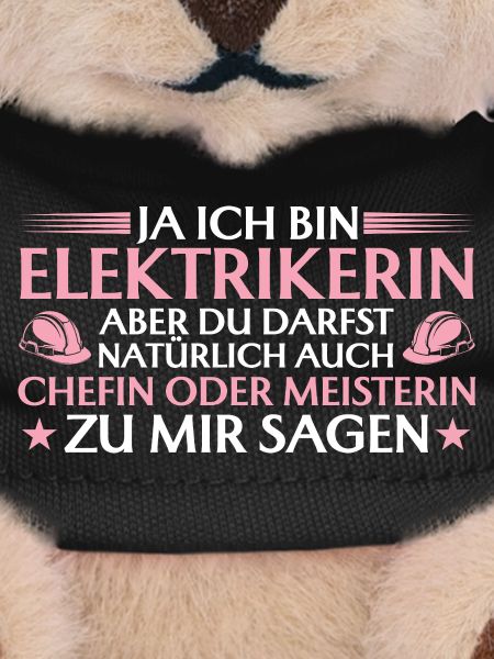 Elekterikerin Chefin oder Meisterin - Handwerkerin
