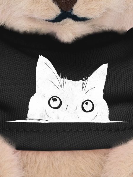 Peeping Cat