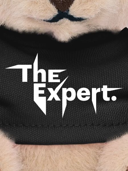 The Expert , Statement, Know-It-All