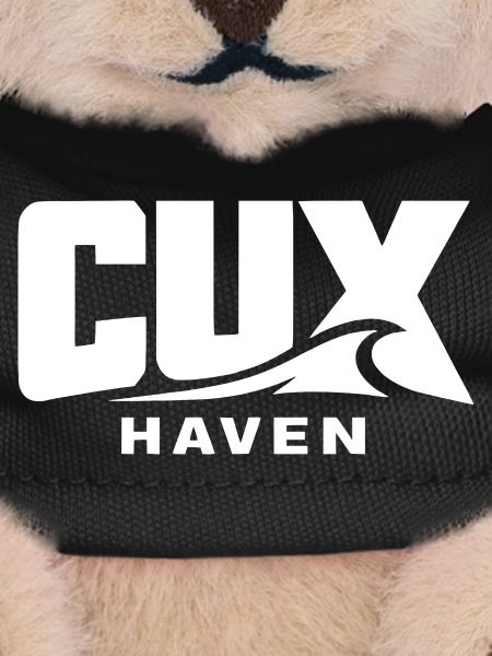 CUXHAVEN – Modern, powerful, Nordic