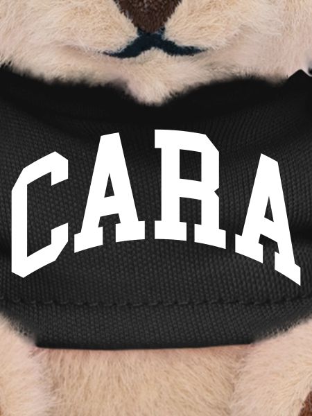 Cara