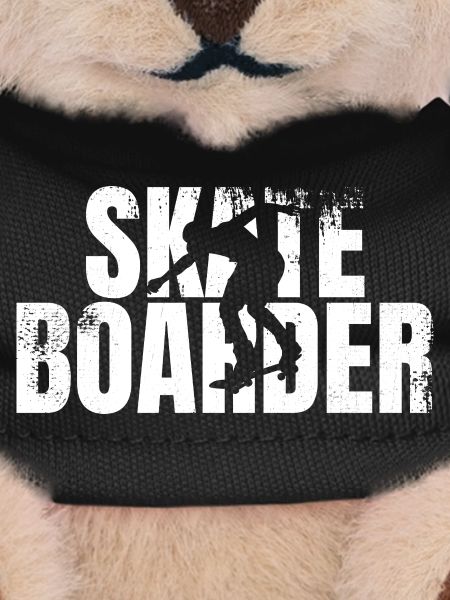 Funny Skateboarder