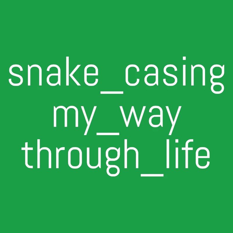 Snake Casing – Lebensweg | Informatiker | Nerd