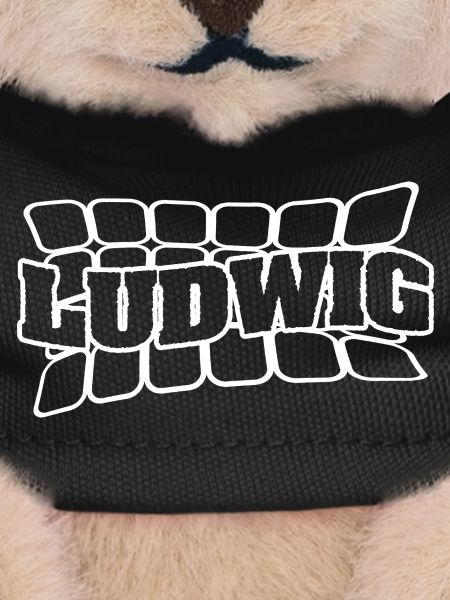 First name Ludwig