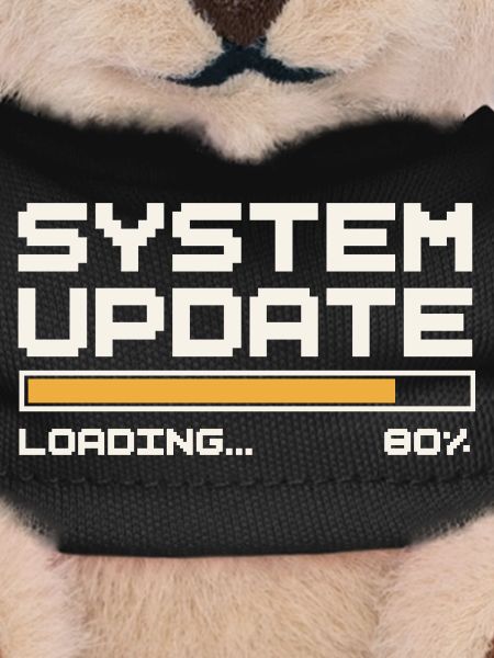 SYSTEM UPDATE