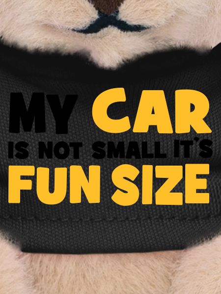 small car