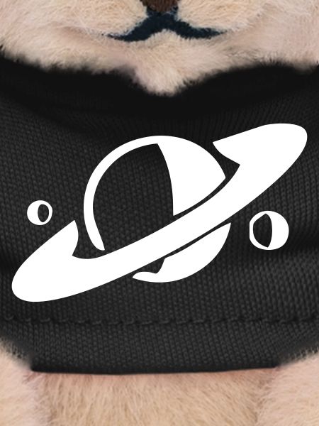 Saturn and its moons