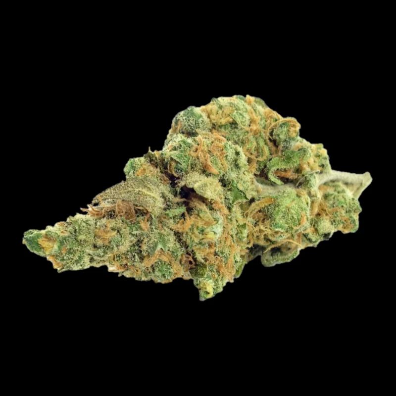 Single Cannabis / Weed Bud / Blossom