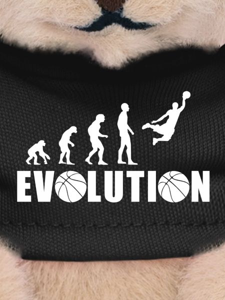 EVOLUTION PANIER cadeau basket