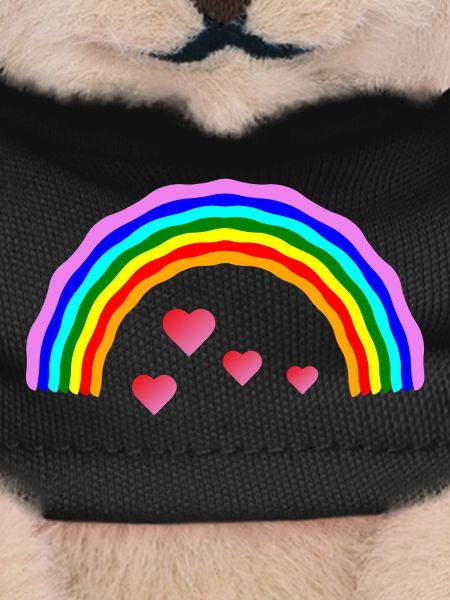 rainbow heart rainbow heart