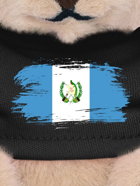 Guatemala flag