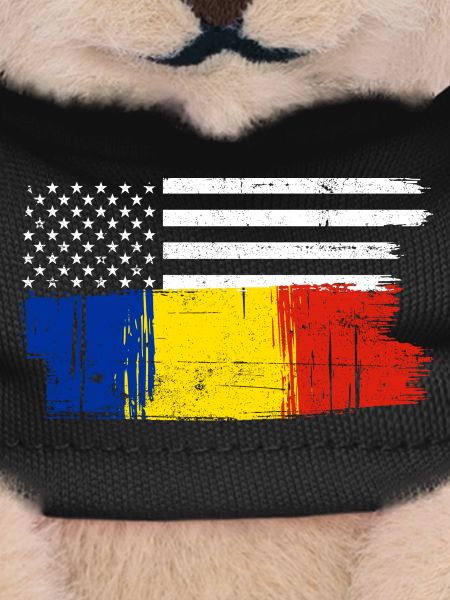 Drapeau Brush Fusion