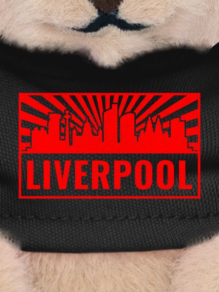 Liverpool Skyline in Red Rays