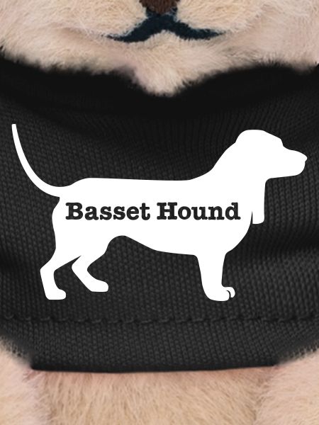 Basset Hound