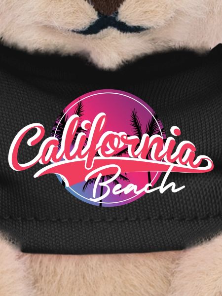 California Beach Sunset Script