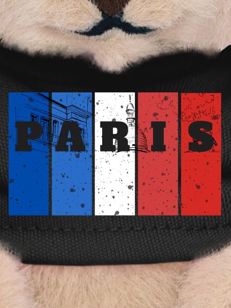 Paris Stripes Splash