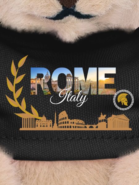 Rome Italy Skyline Collage