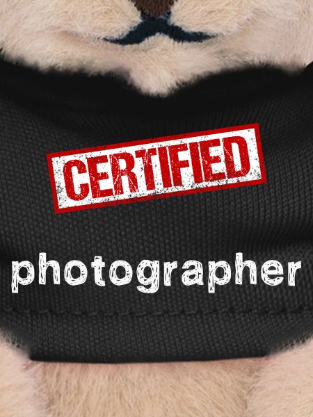 Photographer