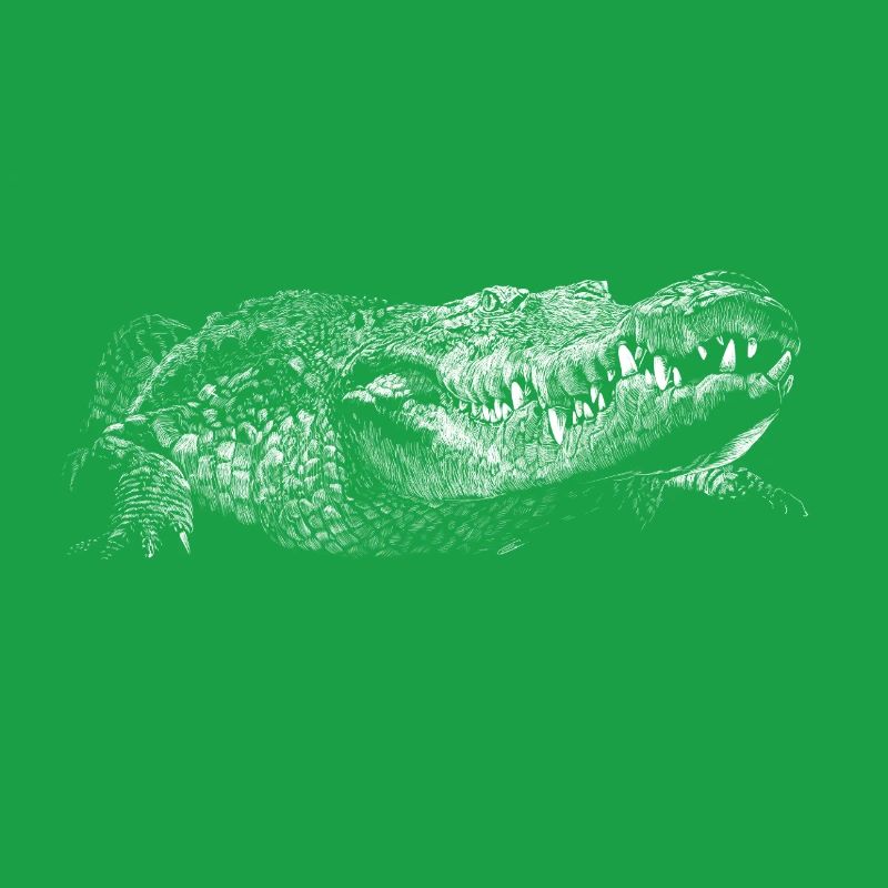 Crocodile