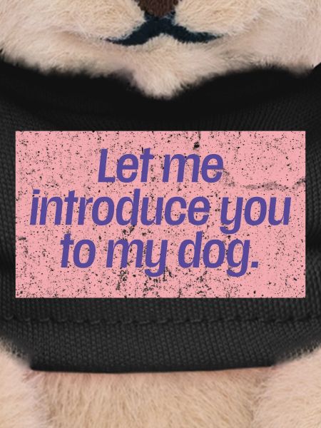 Dog First Impressions